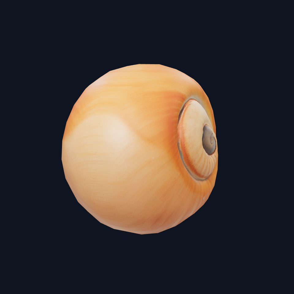 Amber Spiral Shell model pack